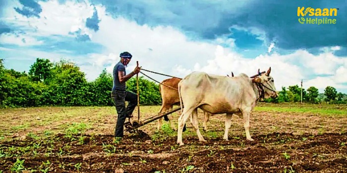 कृषि बजट 2023-24: एक करोड़ किसानों को प्राकृतिक खेती अपनाने की सुविधा देगी केंद्र सरकार